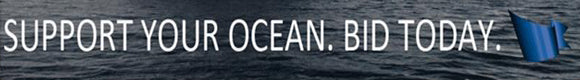 SeaKeeper's Bid, Support Your Ocean SeaKeeper's Bid, Support Your Ocean